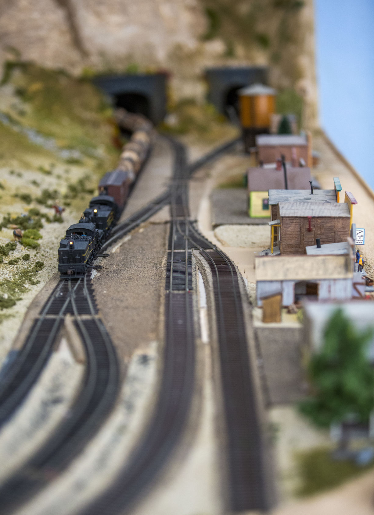Model trains at the fair